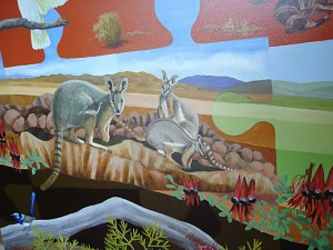         South Australia - flora and fauna 